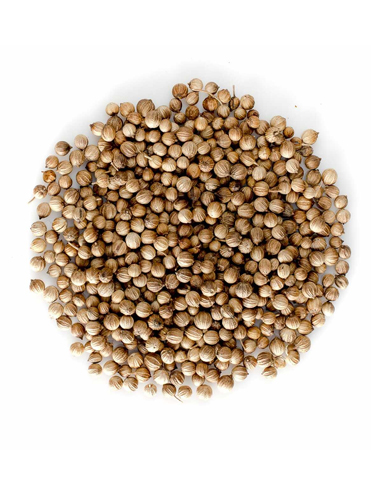 Coriander seeds